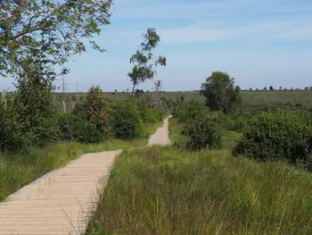 Signal de Botrange (België)